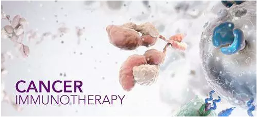 cancer treatment immunotherapy